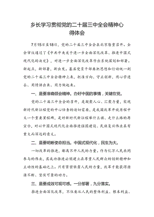 乡长学习贯彻党的二十届三中全会精神心得体会.docx