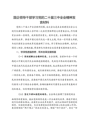国企领导干部学习党的二十届三中全会精神发言材料.docx