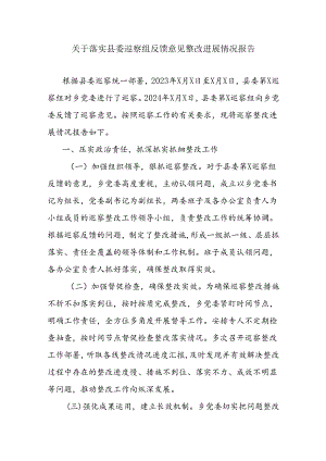 关于落实县委巡察组反馈意见整改进展情况报告.docx