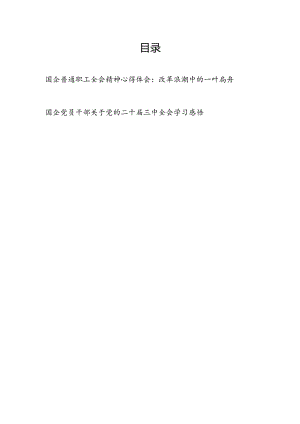 国企普通职工党员干部学习党的二十届三中全会心得体会感悟2篇.docx
