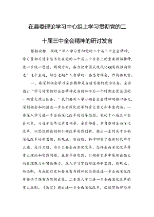 在县委理论学习中心组上学习贯彻党的二十届三中全会精神的研讨发言.docx