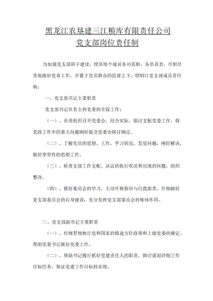 党支部岗位责任制.docx