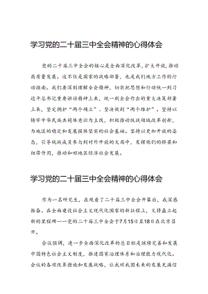 2024年党的二十届三中全会精神学习感悟简要发言四十四篇.docx
