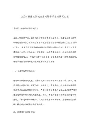 X区消费维权领域突出问题专项整治情况汇报.docx