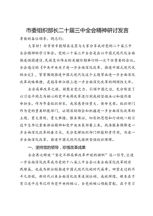 市委组织部长二十届三中全会精神研讨发言.docx