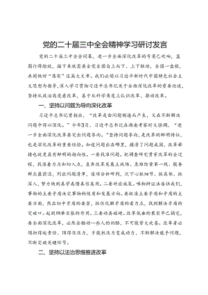 党的二十届三中全会精神学习研讨发言.docx