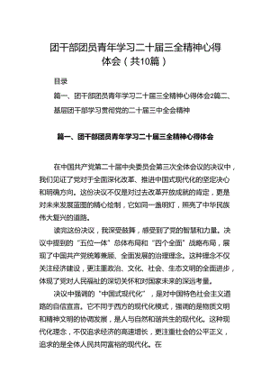 团干部团员青年学习二十届三全精神心得体会十篇（精选）.docx