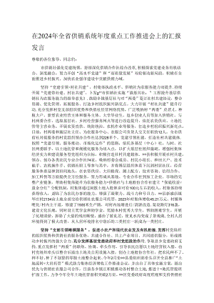 在2024年全省供销系统年度重点工作推进会上的汇报发言.docx