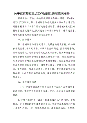 巡察整改重点工作阶段性进展情况总结报告（调研报告）.docx