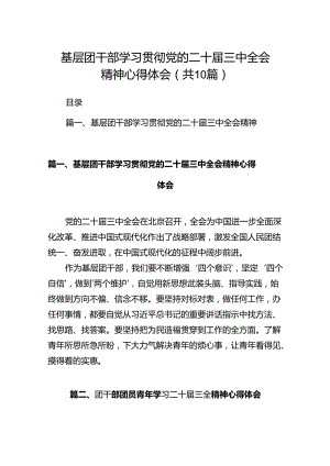 基层团干部学习贯彻党的二十届三中全会精神心得体会【10篇】.docx