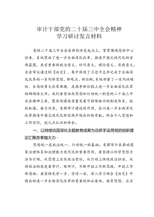 审计干部党的二十届三中全会精神学习研讨发言材料.docx