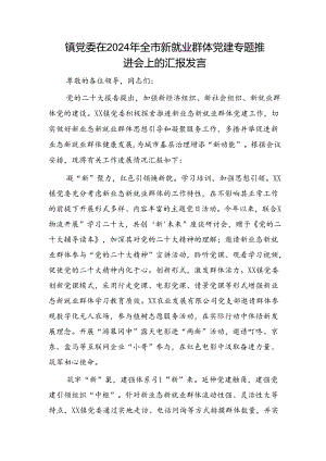 乡镇党委在2024年全市新就业群体党建专题推进会上的汇报发言.docx