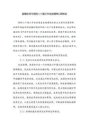 副镇长学习党的二十届三中全会精神心得体会感想研讨发言.docx