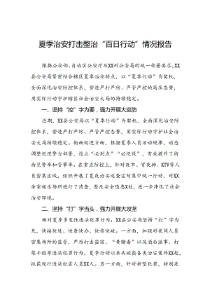 四篇派出所2024年夏季治安打击整治专项工作总结.docx