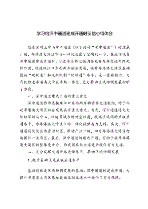 2024年学习给深中通道建成开通时贺信心得体会.docx