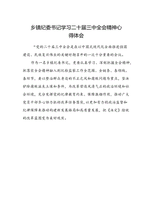 乡镇纪委书记学习二十届三中全会精神心得体会.docx