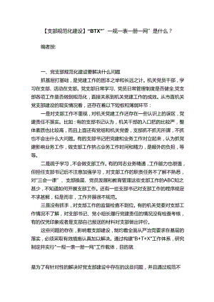 【支部规范化建设】“BTX”“一规一表一册一网”是什么？.docx