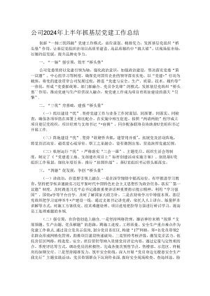 公司2024年上半年抓基层党建工作总结.docx
