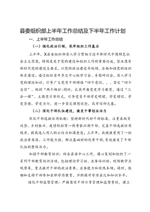 县委组织部上半年工作总结及下半年工作计划.docx
