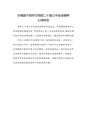 乡镇团干部学习党的二十届三中全会精神心得体会.docx