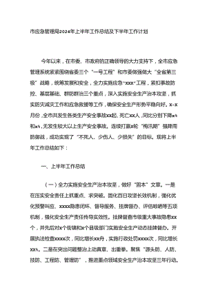 市应急管理局2024年上半年工作总结及下半年工作计划.docx
