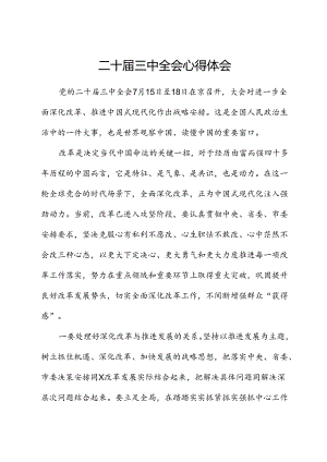 二十届三中全会心得体会2.docx