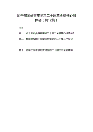 团干部团员青年学习二十届三全精神心得体会(精选12篇).docx