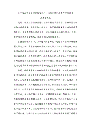 二十届三中全会研讨发言材料：以经济体制改革为牵引推动高质量发展.docx