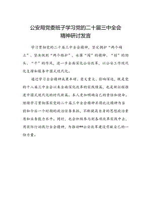 公安局党委班子学习党的二十届三中全会精神研讨发言.docx