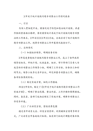 X市关于统计造假问题专项整治工作情况报告.docx
