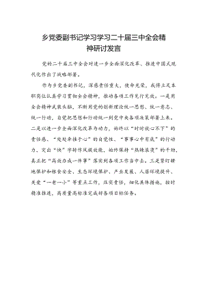 乡党委副书记学习学习二十届三中全会精神研讨发言.docx