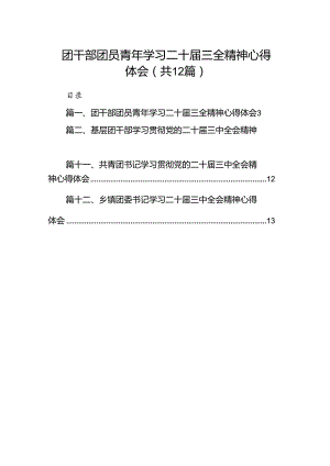 团干部团员青年学习二十届三全精神心得体会 （汇编12份）.docx