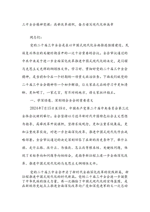 三中全会精神党课：高举改革旗帜奋力谱写现代化新篇章.docx
