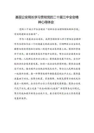 基层公安局长学习贯彻党的二十届三中全会精神心得体会.docx