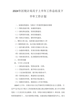 2024年区统计局关于上半年工作总结及下半年工作计划两篇.docx