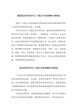 基层派出所所长学习二十届三中全会精神心得体会5篇（详细版）.docx