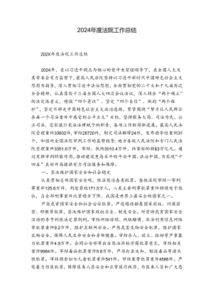 2024年度法院工作总结.docx