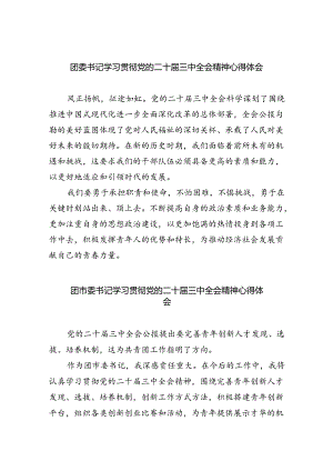 团委书记学习贯彻党的二十届三中全会精神心得体会（共五篇）.docx