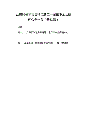 公安局长学习贯彻党的二十届三中全会精神心得体会12篇（精选）.docx