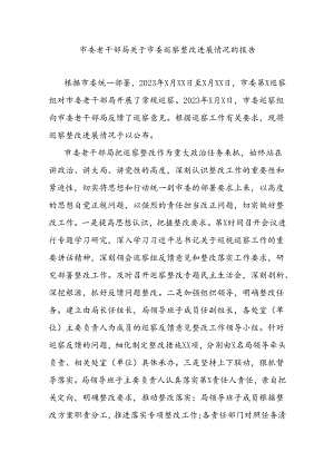 市委老干部局关于市委巡察整改进展情况的报告.docx