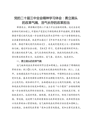 党的二十届三中全会精神学习体会：勇立潮头的改革气魄、浩气长存的改革担当.docx