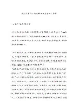 国企上半年工作总结及下半年工作打算.docx