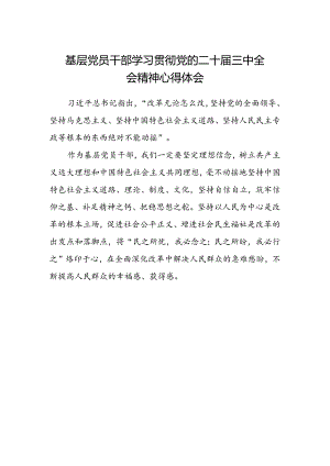 基层党员干部学习贯彻党的二十届三中全会精神心得体会范文.docx