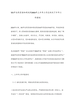 XX市自然资源和规划局2024年上半年工作总结及下半年工作谋划.docx