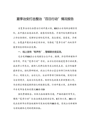 公安2024年夏季治安打击整治行动开展情况报告五篇.docx