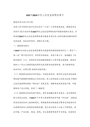 XXX市 2024 年防止返贫监测帮扶集中.docx