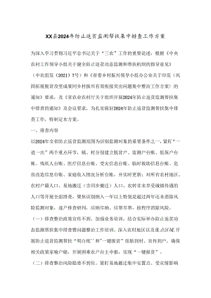 XX县 2024 年防止返贫监测帮扶集中排查工作方案.docx