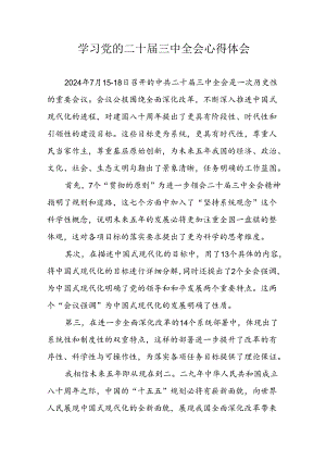 2024年学习党的二十届三中全会个人心得体会 （汇编19份）.docx