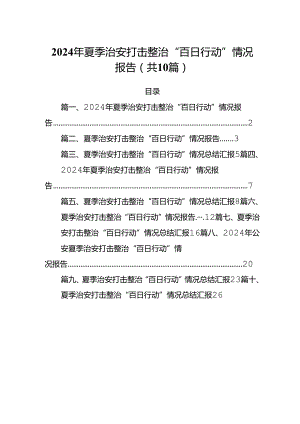 2024年夏季治安打击整治“百日行动”情况报告范文10篇供参考.docx