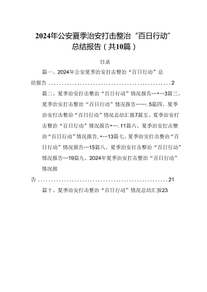 2024年公安夏季治安打击整治“百日行动”总结报告10篇供参考.docx